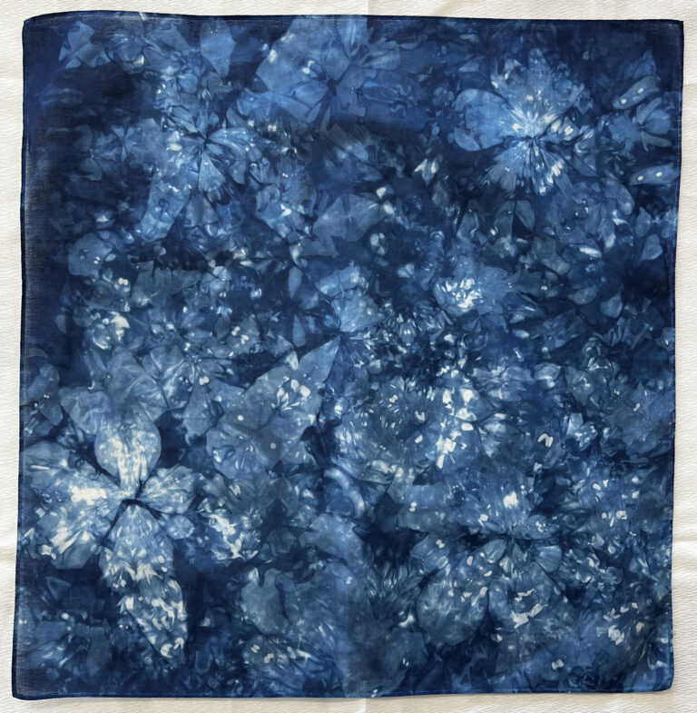 Indigo dye workshop | 津軽天然藍染川﨑染工場/Tsugaru Natural Indigo Dyeing Store